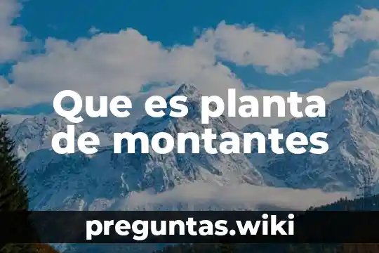 Que es planta de montantes