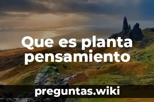 Que es planta pensamiento