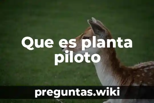 Que es planta piloto
