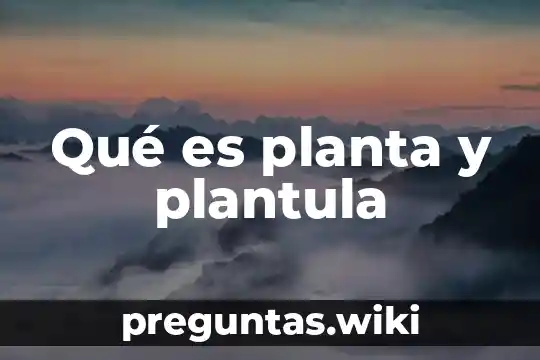Qué es planta y plantula