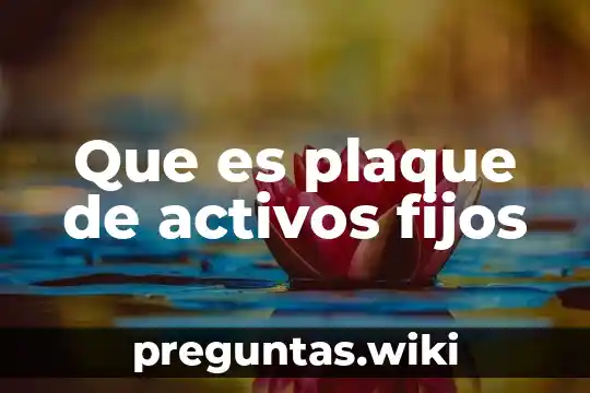 Que es plaque de activos fijos