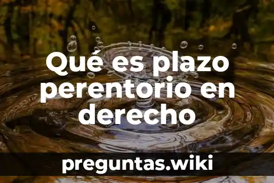 Qué es plazo perentorio en derecho