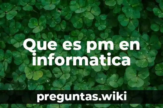 Que es pm en informatica