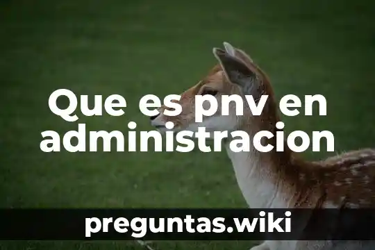 Que es pnv en administracion