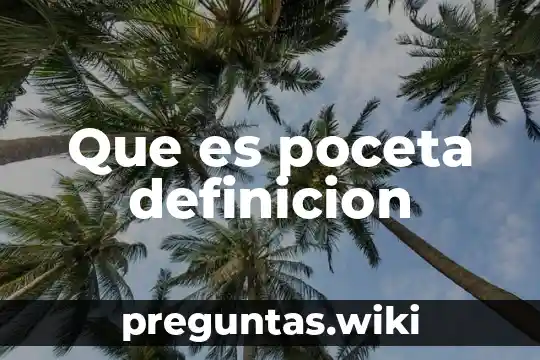 Que es poceta definicion