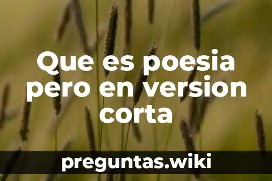 Que es poesia pero en version corta