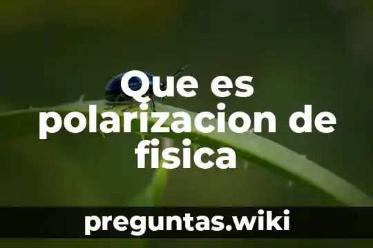 Que es polarizacion de fisica