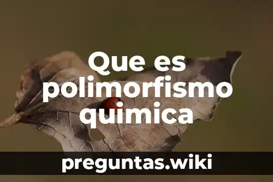 Que es polimorfismo quimica