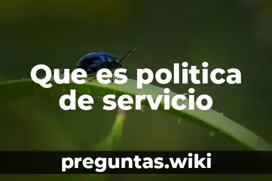 Que es politica de servicio