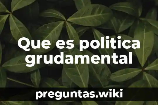 Que es politica grudamental