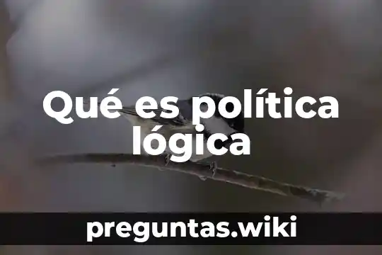 Qué es política lógica