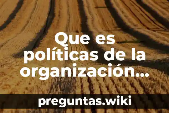 Que es políticas de la organización auditorias en sistemas
