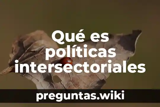 Qué es políticas intersectoriales