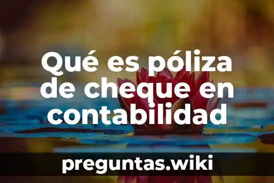 Qué es póliza de cheque en contabilidad