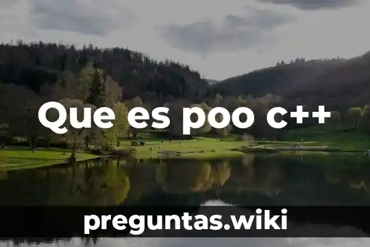 Que es poo c++