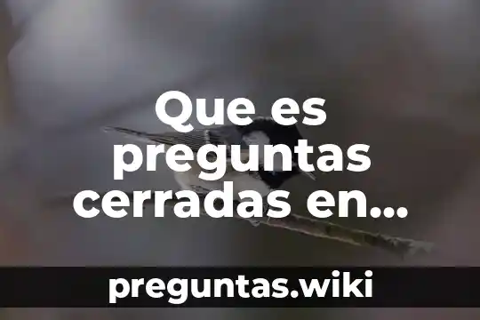 Que es preguntas cerradas en ingles