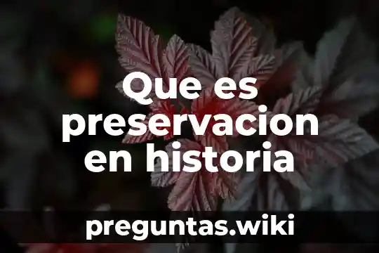 Que es preservacion en historia
