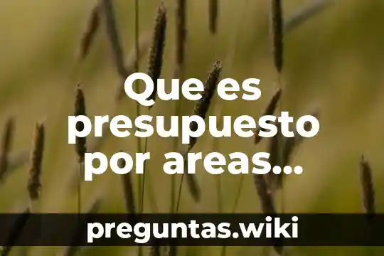 Que es presupuesto por areas operativas