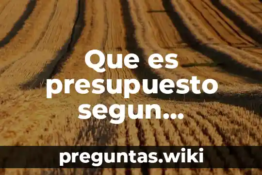 Que es presupuesto segun flexibilidad