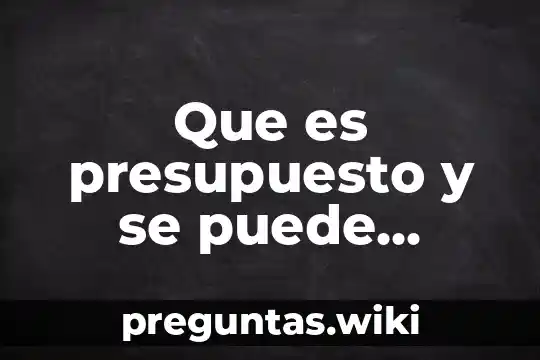 Que es presupuesto y se puede aplicar a una investigación