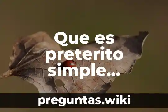 Que es preterito simple ejemplos