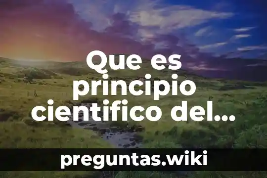 Que es principio cientifico del entrenamiento
