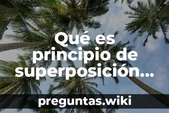 Qué es principio de superposición física