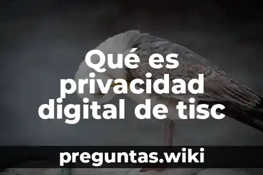 Qué es privacidad digital de tisc