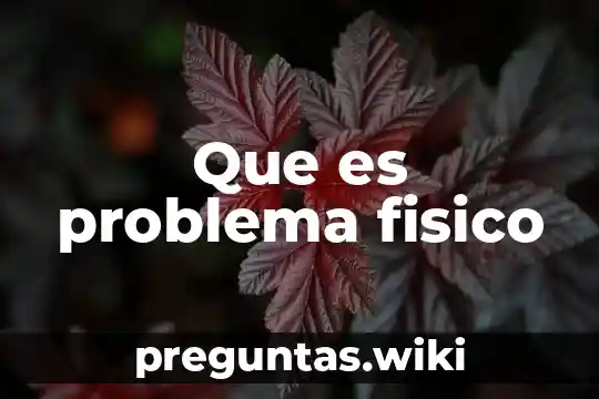 Que es problema fisico