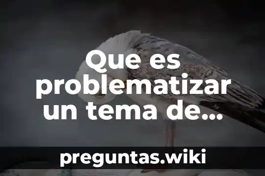 Que es problematizar un tema de investigacion