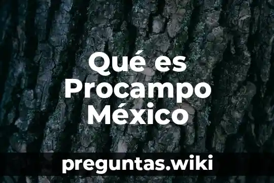 Qué es Procampo México