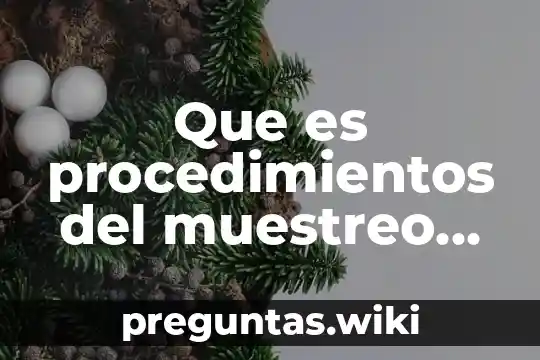 Que es procedimientos del muestreo en una investigación