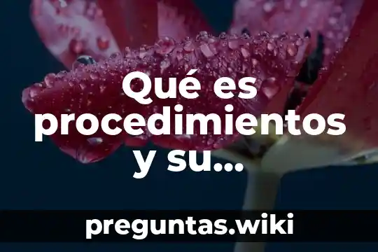 Qué es procedimientos y su clasificación según autores