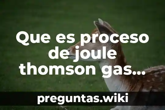 Que es proceso de joule thomson gas natural