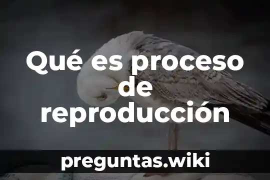 Qué es proceso de reproducción