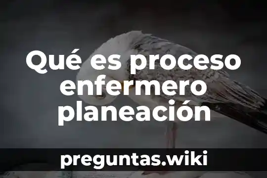 Qué es proceso enfermero planeación