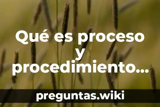 Qué es proceso y procedimiento en derecho civil
