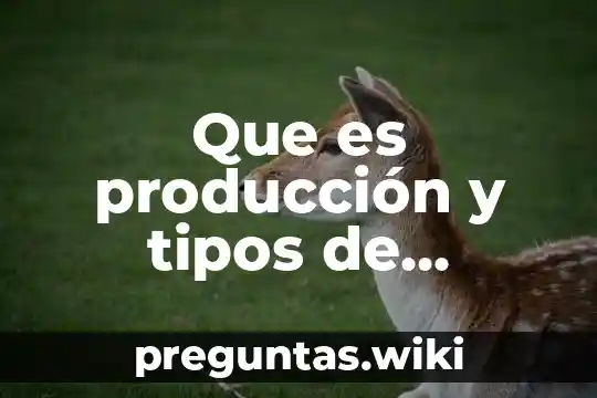 Que es producción y tipos de producción