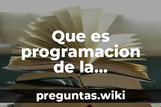 Que es programacion de la arquitectura