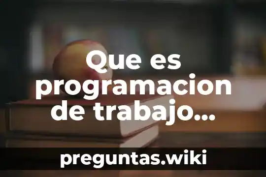 Que es programacion de trabajo social