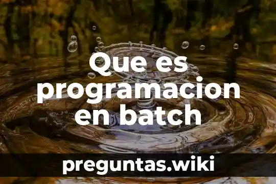 Que es programacion en batch
