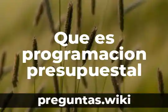 Que es programacion presupuestal