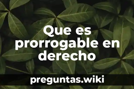 Que es prorrogable en derecho