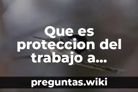 Que es proteccion del trabajo a menores