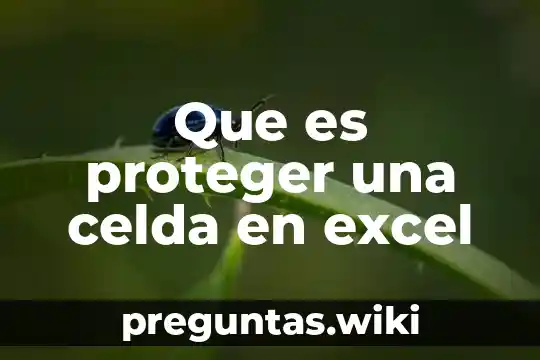 Que es proteger una celda en excel