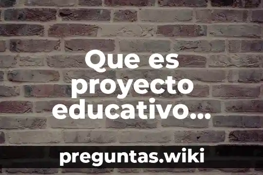 Que es proyecto educativo segun diaz barriga