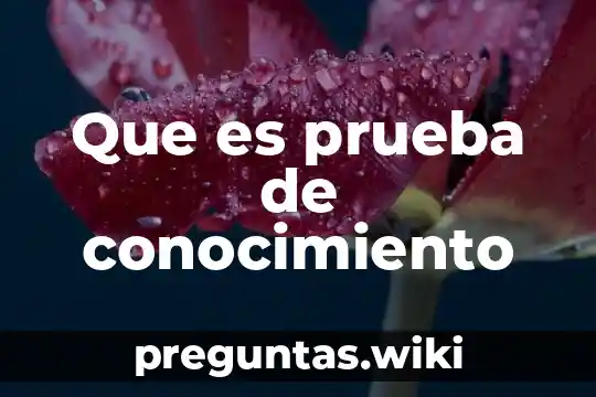 Que es prueba de conocimiento