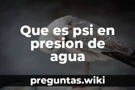 Que es psi en presion de agua