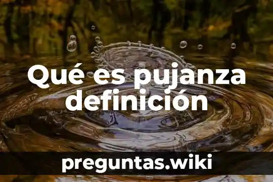 Qué es pujanza definición