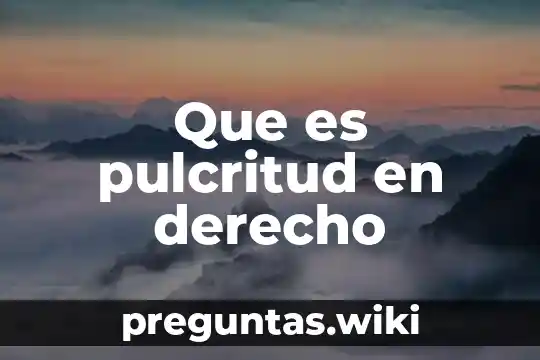 Que es pulcritud en derecho